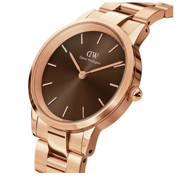  Daniel Wellington Iconic Link Amber 40 Rose Gold Brown | DW00100460