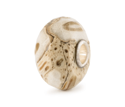 Visualizza i dettagli per Beads In Vetro Legno Fossile Gioielli Trollbeads | TSTBE-20042 Immagine di Beads In Vetro Legno Fossile Gioielli Trollbeads | TSTBE-20042