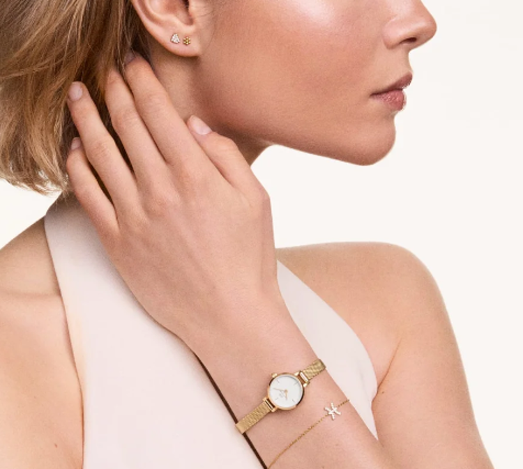 Immagine di Orologio Donna Daniel Wellington Petite Mini Evergold | DW00100745