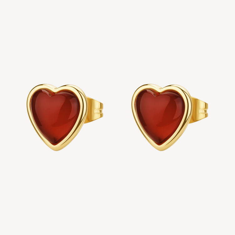 Immagine di Orecchini Lobo In Acciaio A Cuore Con Agata Rossa Essential Brosway | BNL145